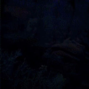 Meet your Posher, Chloé